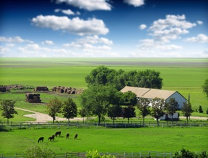 A New Threat to U.S. Agriculture: Wall Street’s Industrial Plans for Family Farms Image